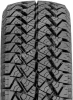 265/60R18 110T