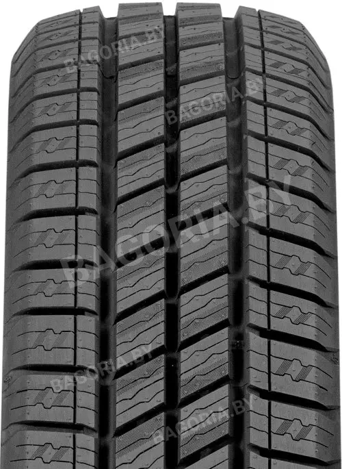 Легковые шины Delinte AW6 VAN