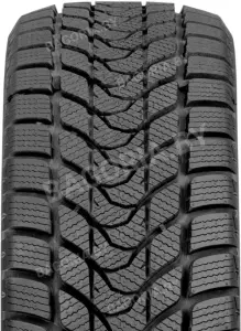 Легковые шины Delinte Winter WD1